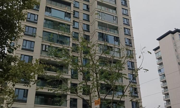 保利时区实景图