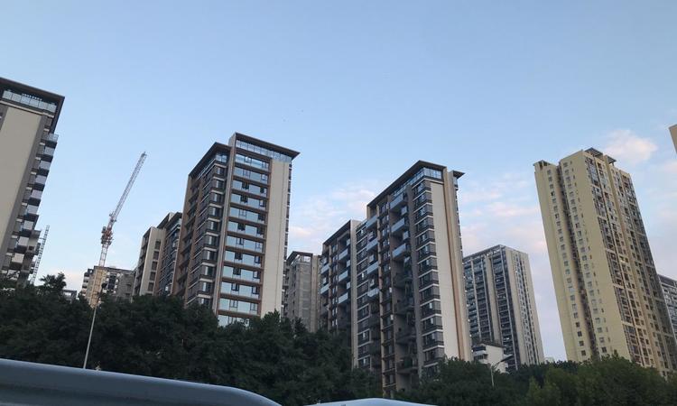 春风与你实景图