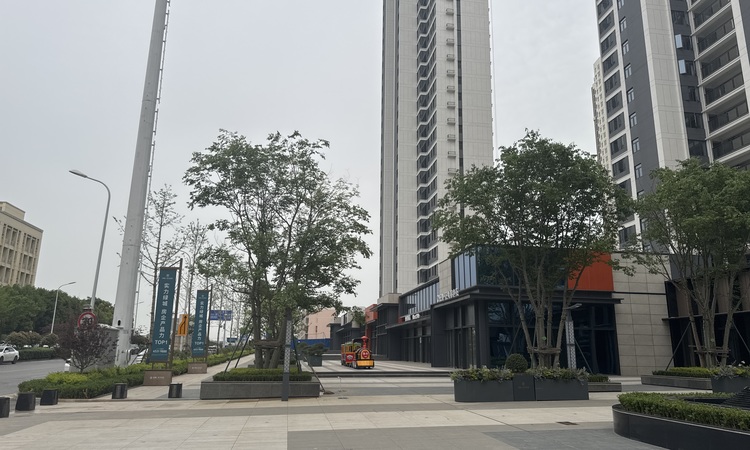 绿城光谷桂府施工进度图