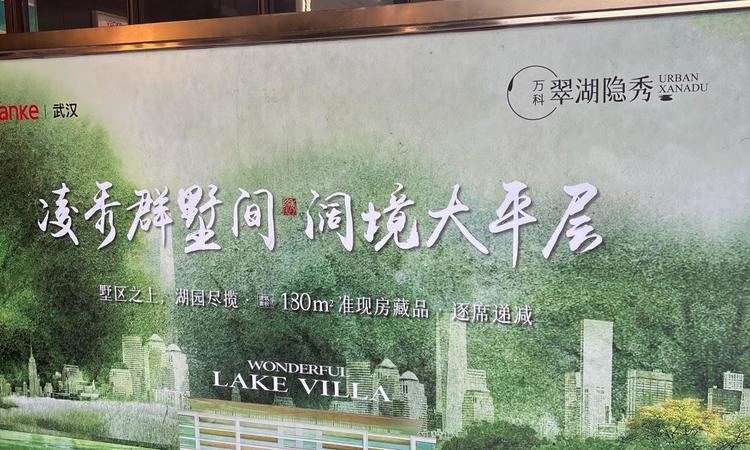万科翠湖隐秀实景图