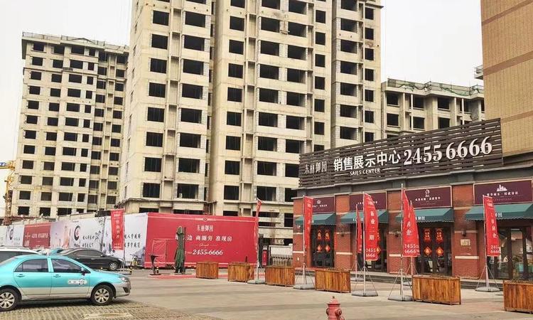 新业御园实景图