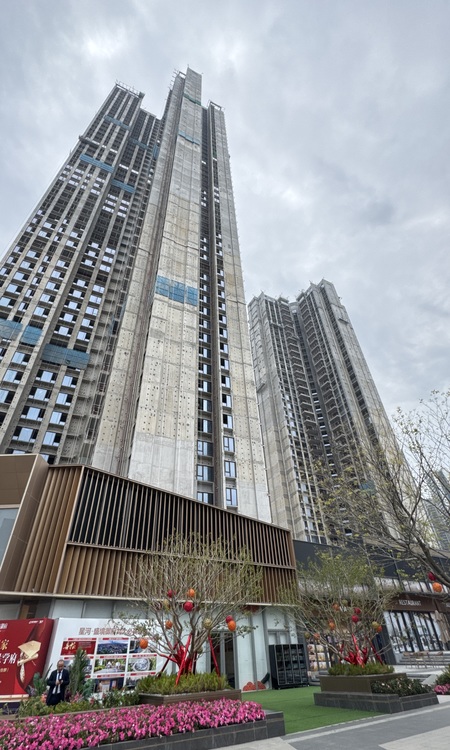 星河盛境御府施工进度图