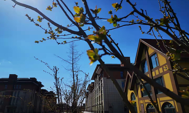 南湖美院实景图