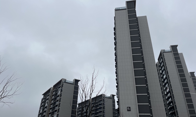 半岛九里施工进度图