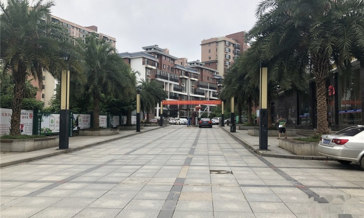 香樟绿城实景图