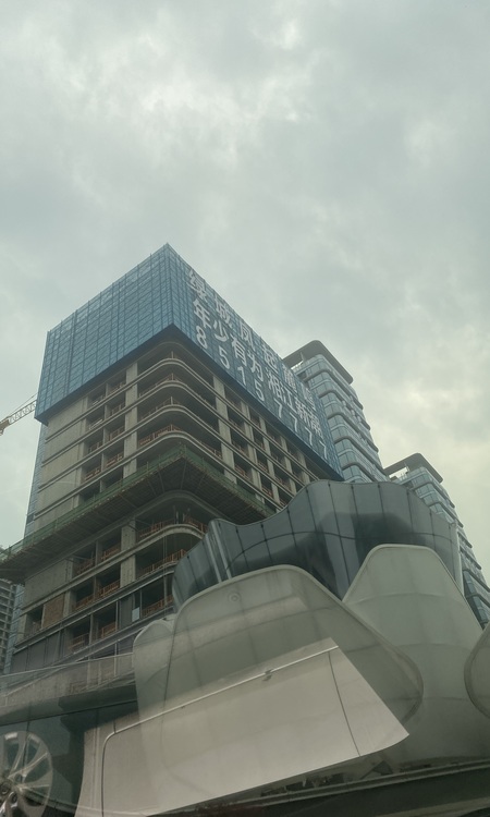 绿城凤起麓鸣施工进度图