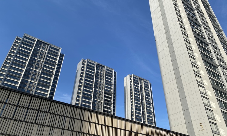 江心印园施工进度图