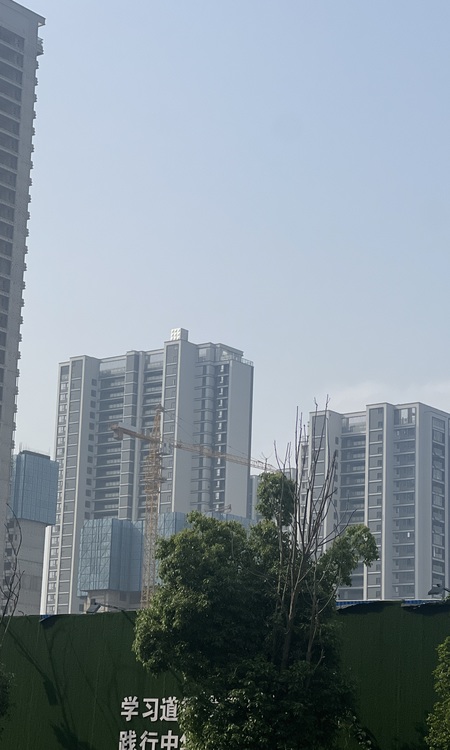 和雅东方施工进度图