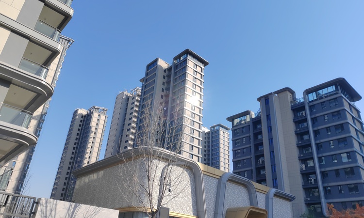 东胜天御实景图