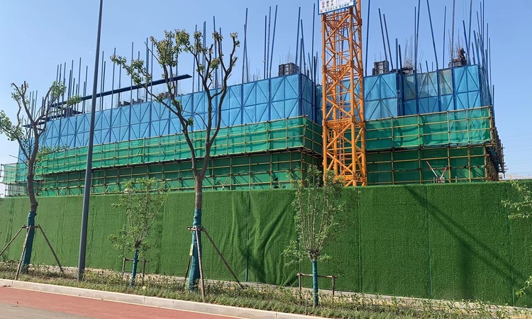 南山悦拾光实景图