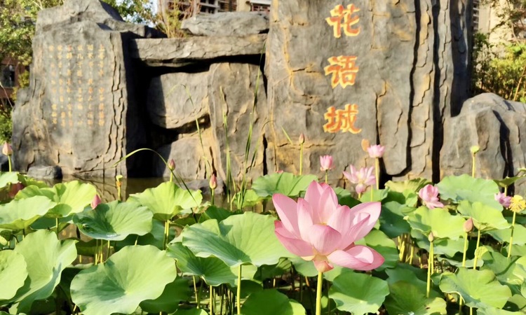 荣盛阿尔卡迪亚花语城实景图