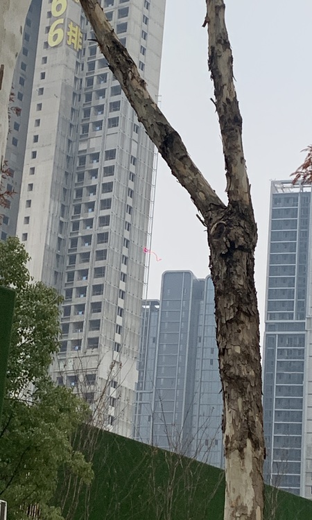 首创·天阅一江源施工进度图