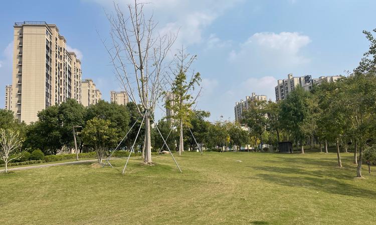 新未来樾湖周边配套图