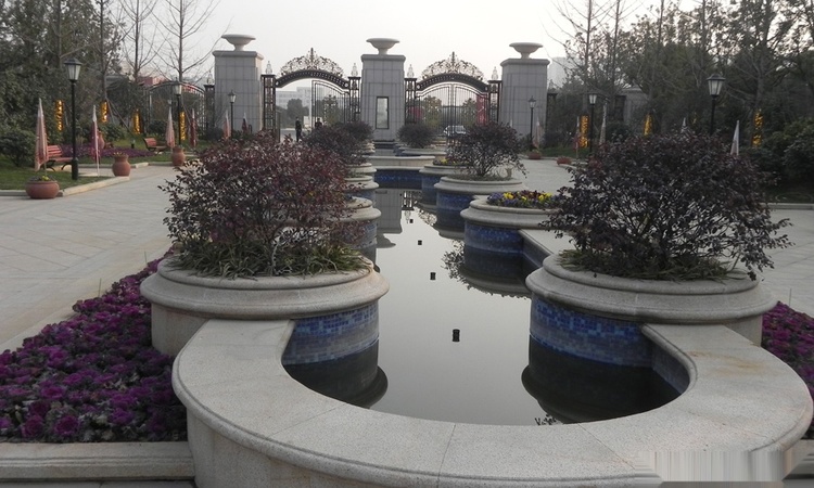 金港·名人府实景图