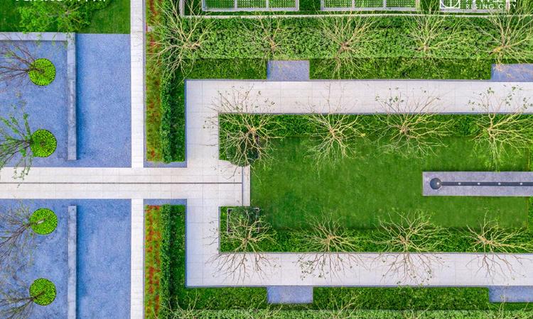 万科星图实景图