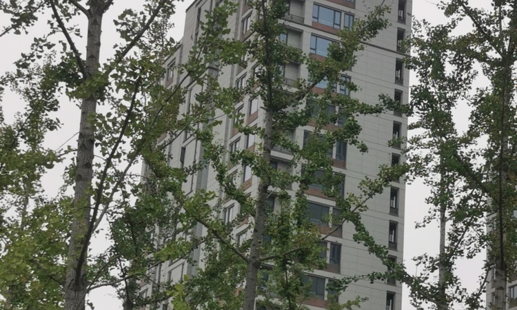 和成未来派樾和湾施工进度图