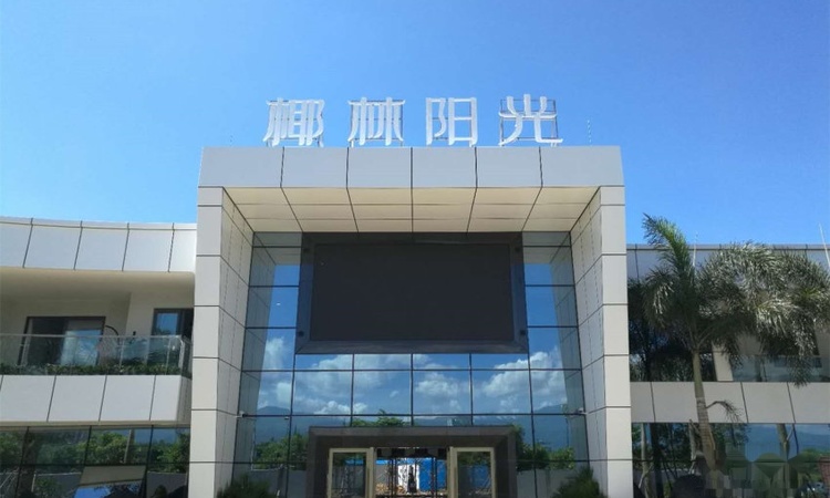 乐东椰林阳光实景图