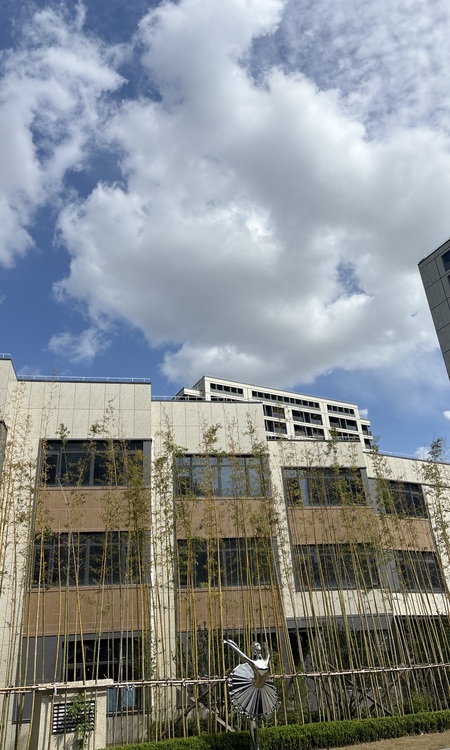 森兰海天名筑实景图