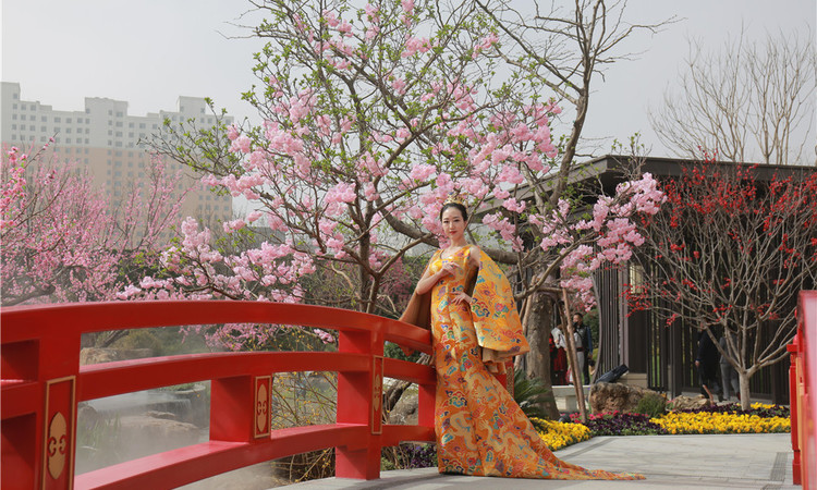 蓝光·雅居乐雍锦半岛实景图