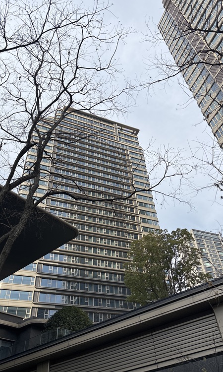 中宁府施工进度图