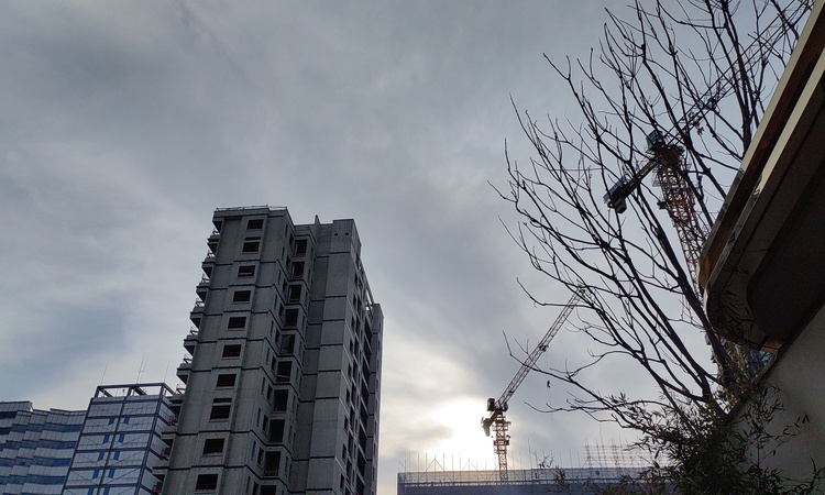 格调馥颂花园施工进度图