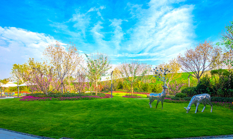 碧桂园凤凰城实景图