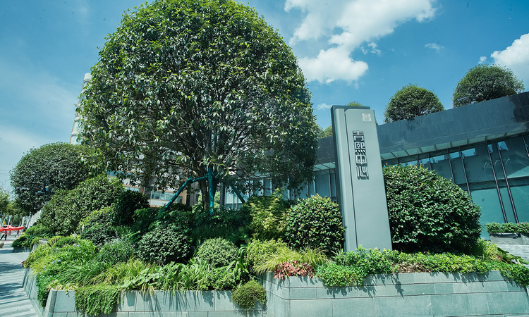 青熙中心实景图