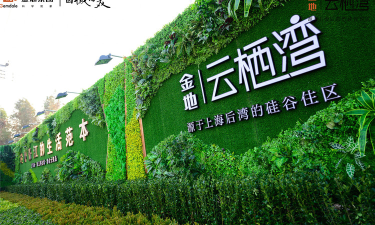 金地云栖湾实景图