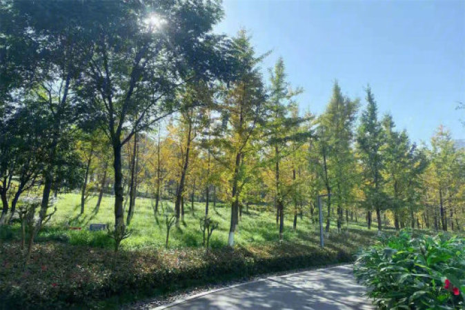 绿城春月锦庐周边配套图