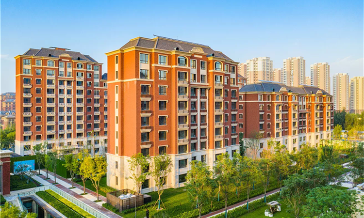 仁恒海和院施工进度图