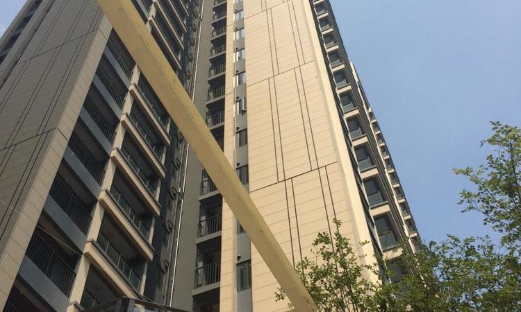 鼎胜金域阳光施工进度图