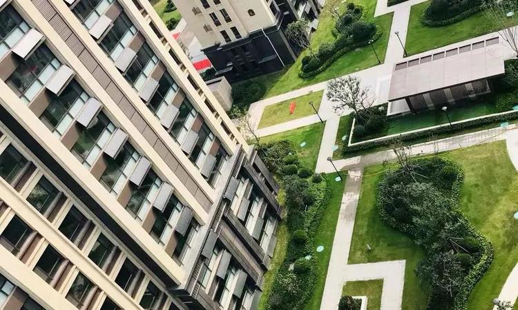 明发·桃花源著实景图