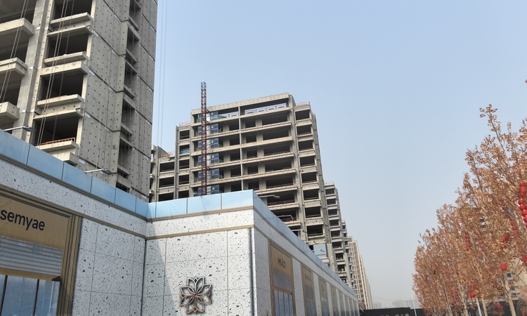 绿城锦玉兰施工进度图