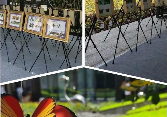 河源山湖海悦府实景图