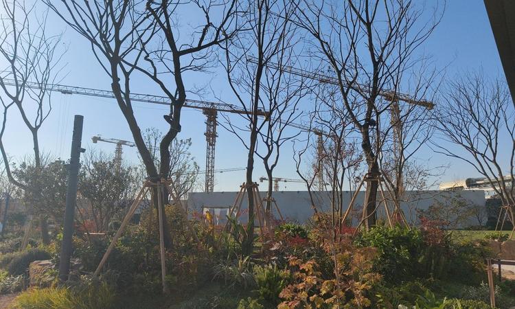 大华·望樾实景图