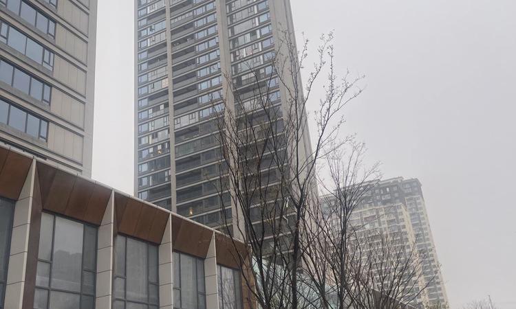 恺德光谷熙园实景图