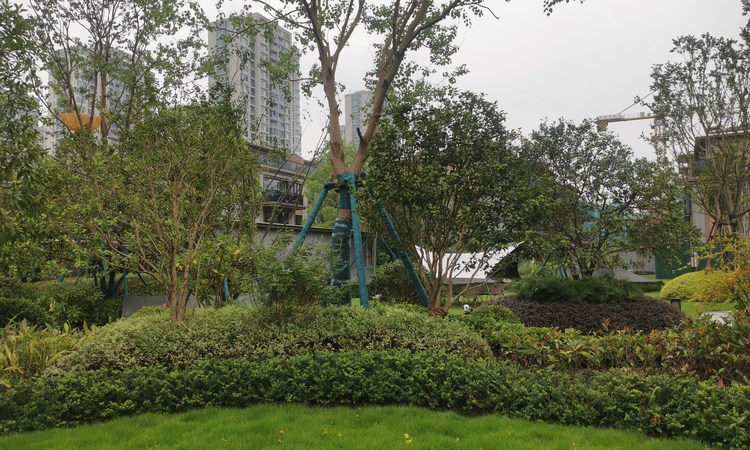 翠璟和庄实景图