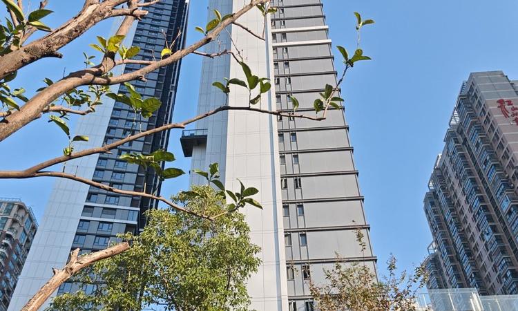 中建·湖北文旅·壹品公馆实景图