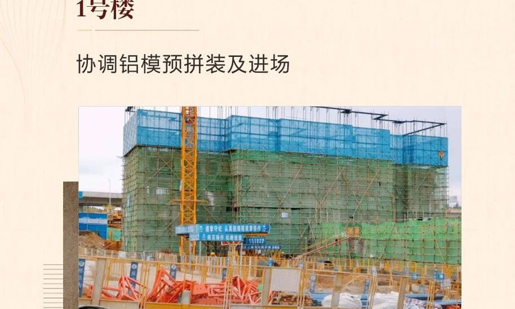 远洋红星天悦施工进度图