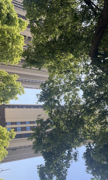 盘龙华府施工进度图