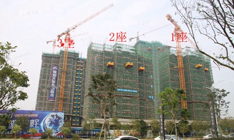 碧桂园·盛世花园实景图