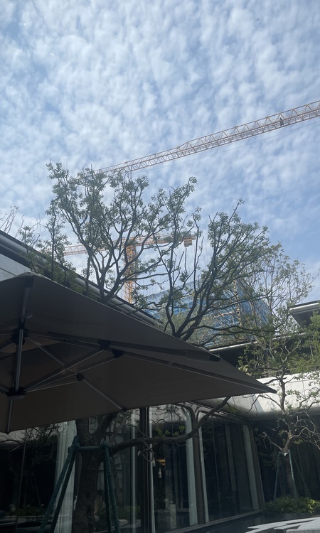 建总流花溪施工进度图