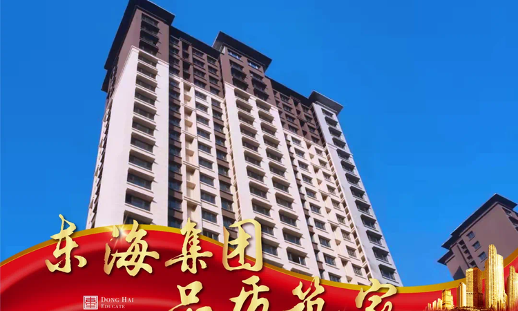 禹城东海城施工进度图