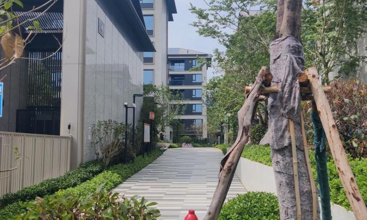 香港兴业·兴云间实景图