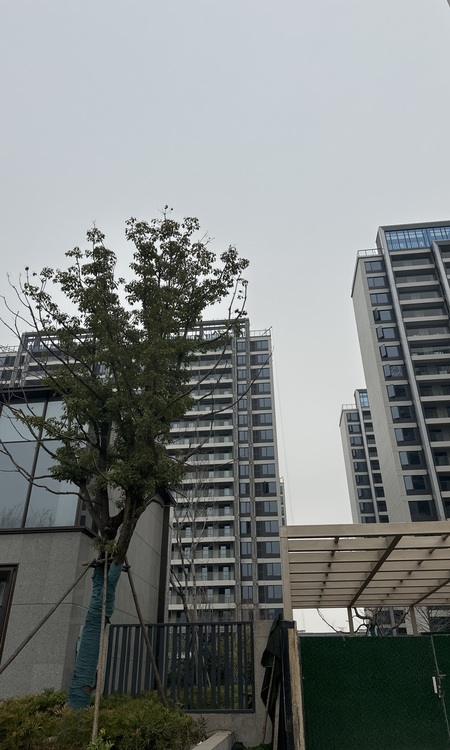 联投武汉城建花山印象施工进度图