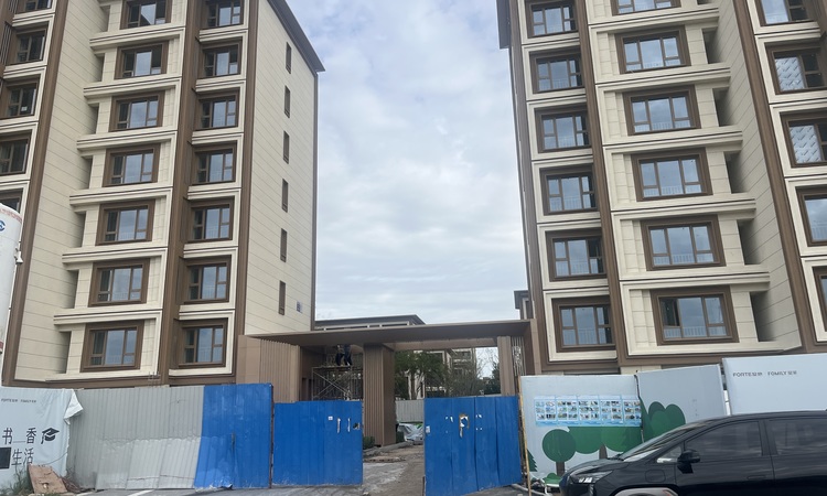 复地林与里施工进度图