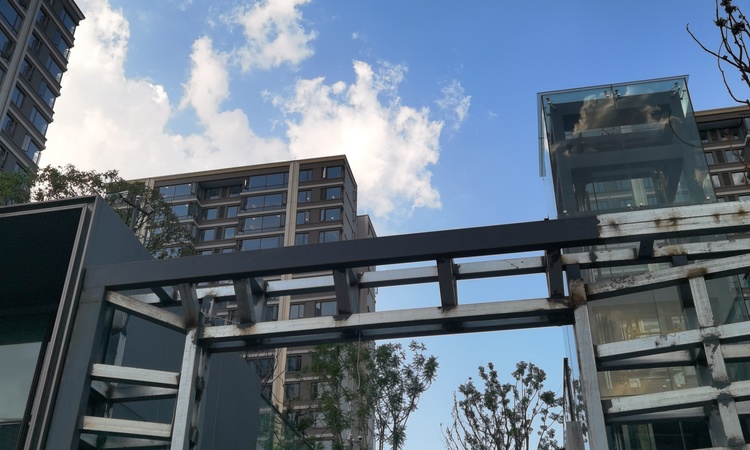 保亿御景雅园实景图