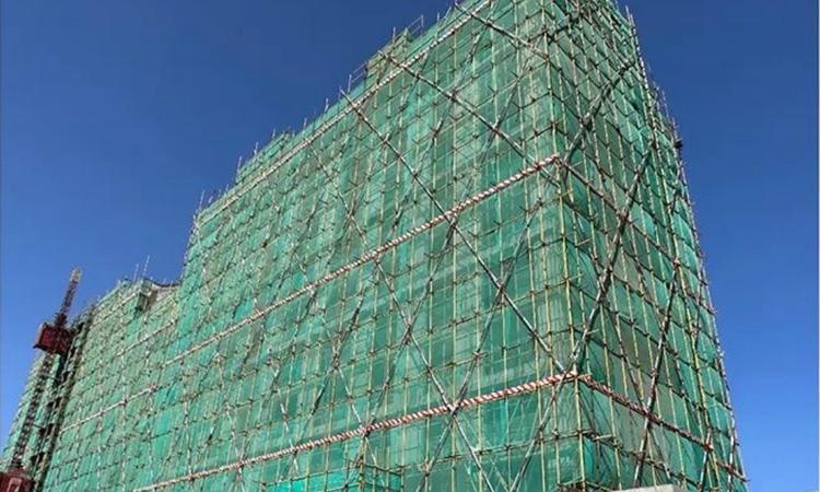 紫金书院施工进度图