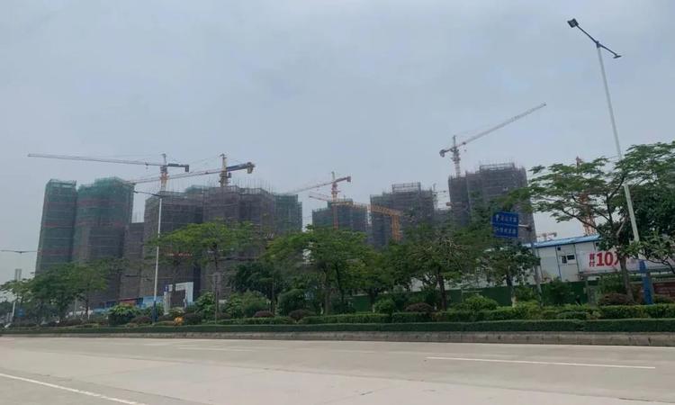 兰园·凤翎台施工进度图