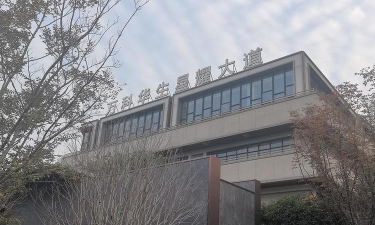 万科华生·星耀大道实景图
